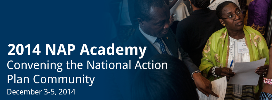 2014 NAP Academy