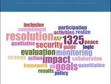 What Matters Most: Measuring Plans for Inclusive Security