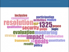 What Matters Most: Measuring Plans for Inclusive Security What Matters Most: Measuring Plans for Inclusive Security
